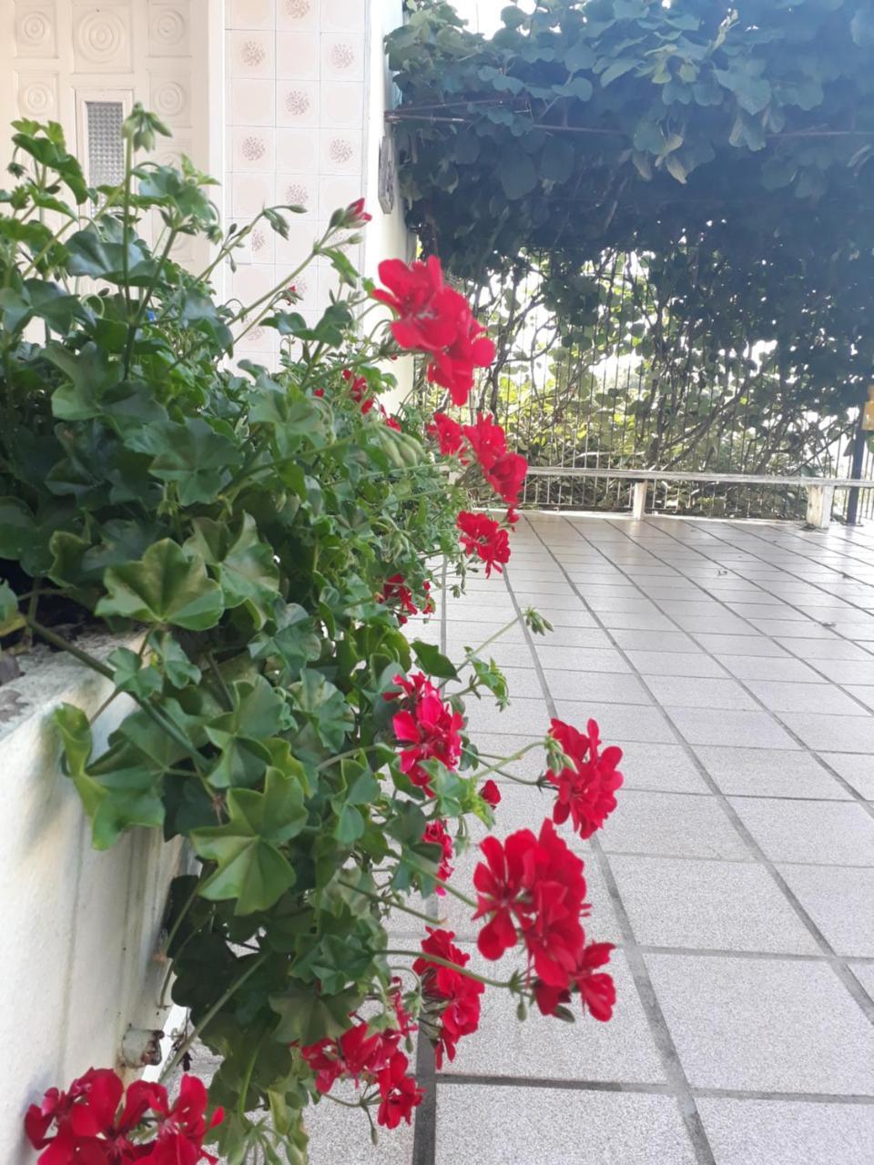 Pousada Don Marini Bento Goncalves Bagian luar foto